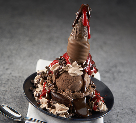 Chocolate Premium Ice Cream - Wells Foodservice