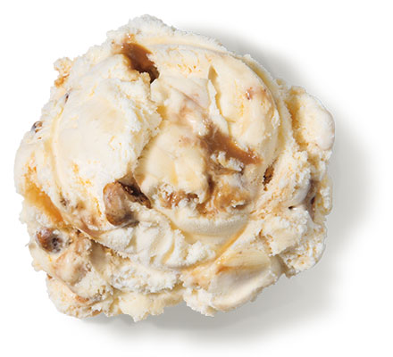 Praline Pecan Premium Ice Cream