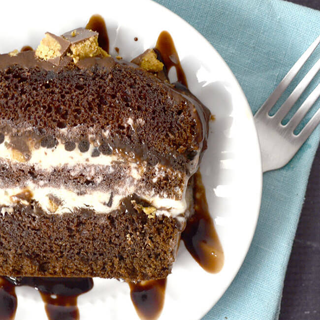 Peanut Butter Party Ice Cream Cake