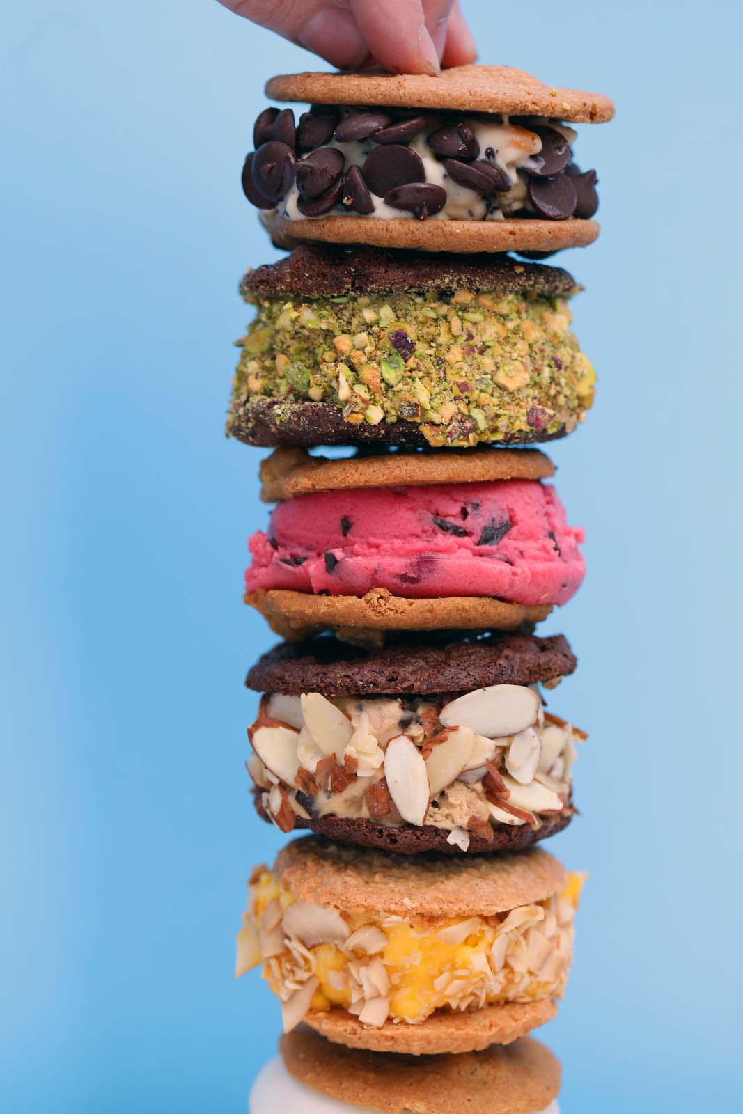 SorBabes Sandwiches
